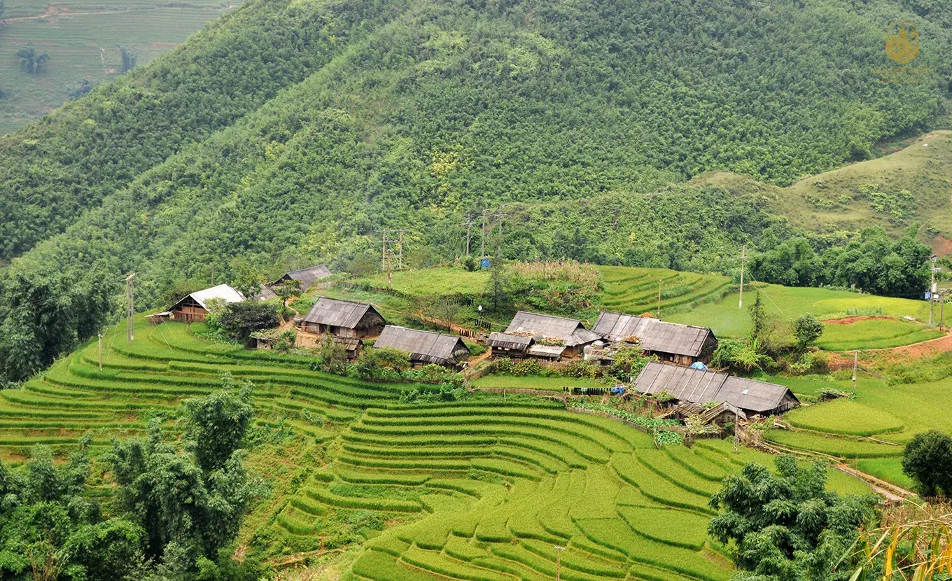 Vietnam Grand Tour 14 Days: Sapa Trekking, Halong Bay, Ninh Binh & Imperial Hue Heritage